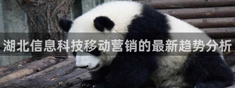 金年会体育app入口在哪