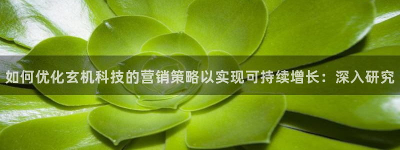 金年会网站入口官网