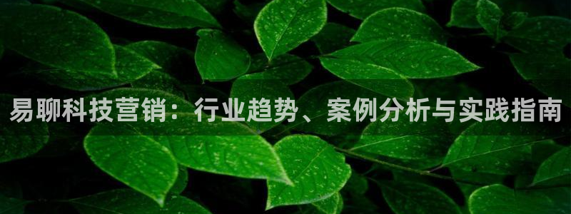 金年会官方在线入口网站