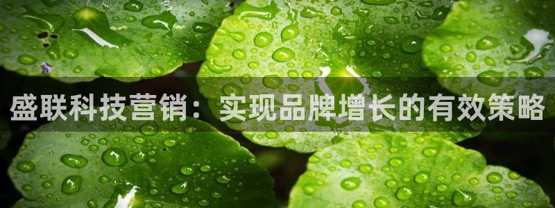 金年会ios版下载安装
