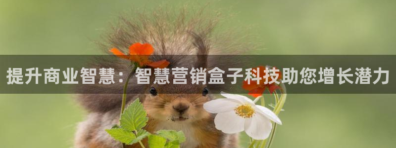 金年会网站拒绝出款怎么办理