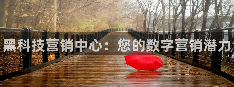 金年会体育app下载官网苹果手机