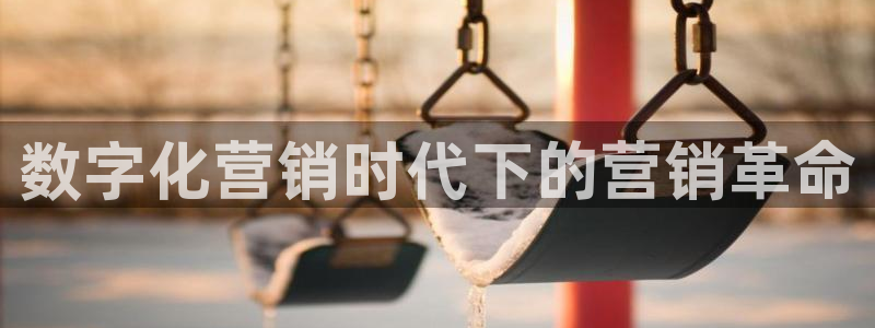 金年会体育app最新官网入口