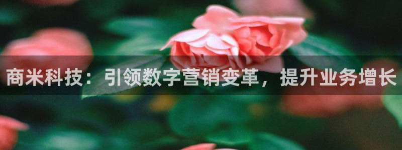 金年会体育手机app下载官网苹果