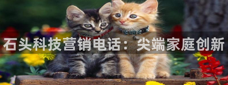 金年会官网中国