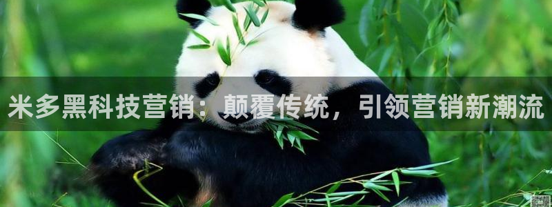 金年会电子游戏app官方