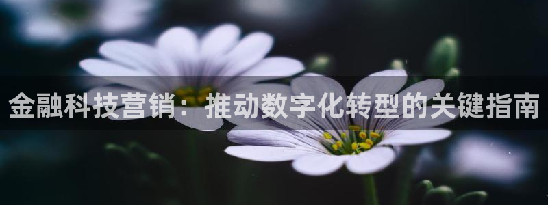 金年会体育官网是多少