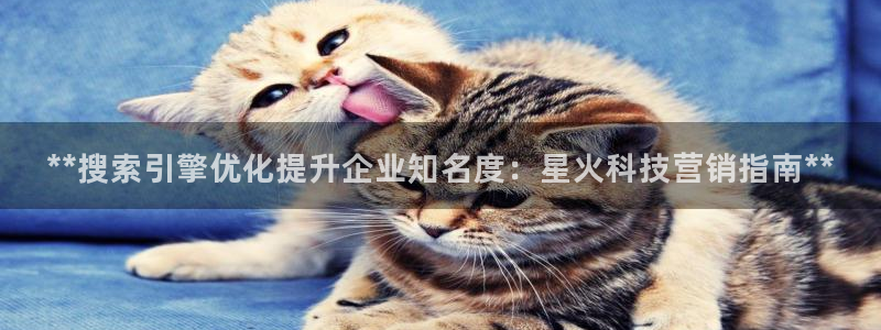 金年会体育是诈骗