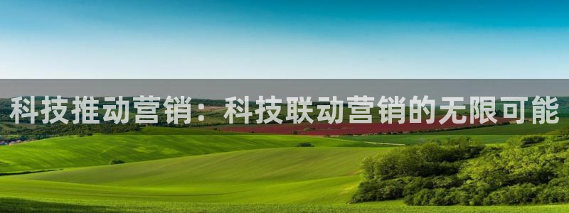 金年会体育信誉怎么样
