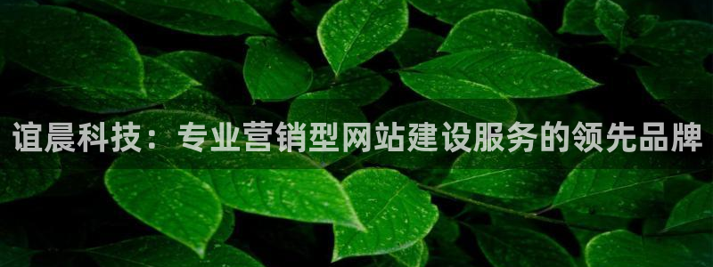 金年会网站可靠吗