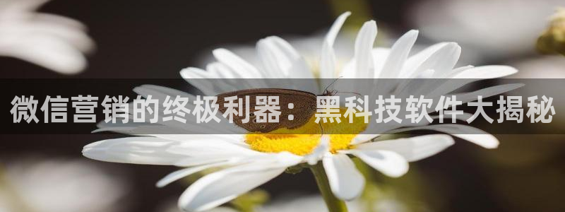 金年会网站提现一直显示审核当中怎么办