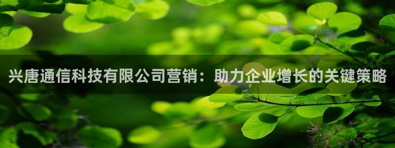 金年会官方在线入口网址是多少号