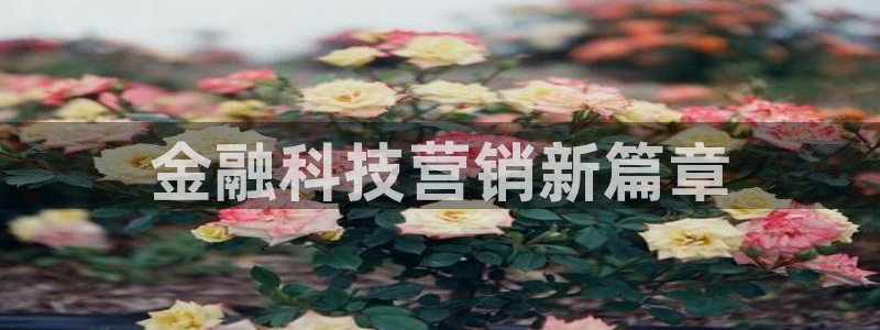 金年会体育论坛